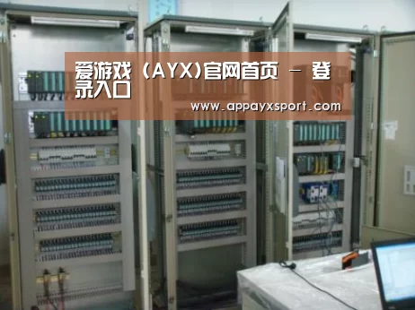 ayx体育案例展示五
