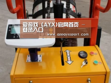 ayx体育案例展示三