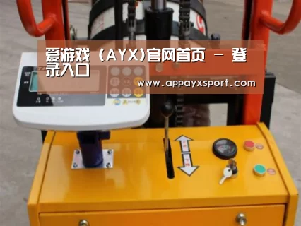 ayx体育案例展示三(图1)