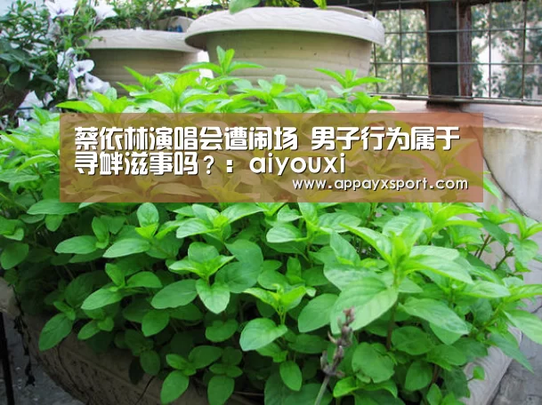 蔡依林演唱会遭闹场 男子行为属于寻衅滋事吗?:aiyouxi(图3) ayx体育app
