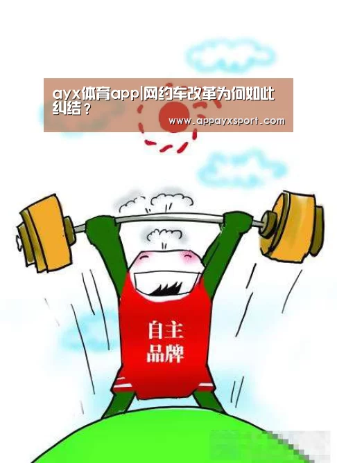 ayx体育app|网约车改革为何如此纠结?(图2) ayx体育app|网约车改革为何如此纠结?(图2)