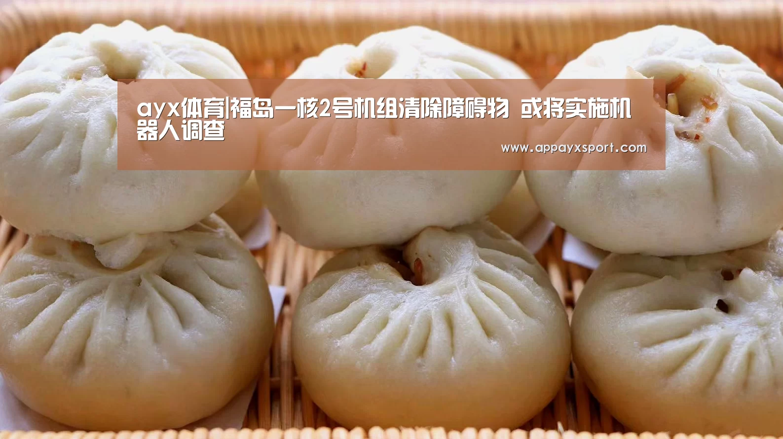 ayx体育|福岛一核2号机组清除障碍物 或将实施机器人调查(图1) ayx体育|福岛一核2号机组清除障碍物 或将实施机器人调查(图1)