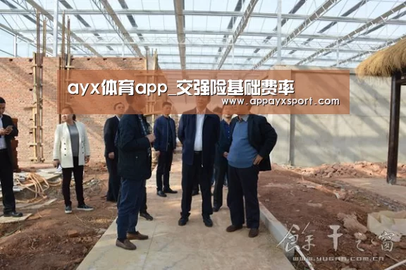 ayx体育app_交强险基础费率(图1) ayx体育app_交强险基础费率(图1)