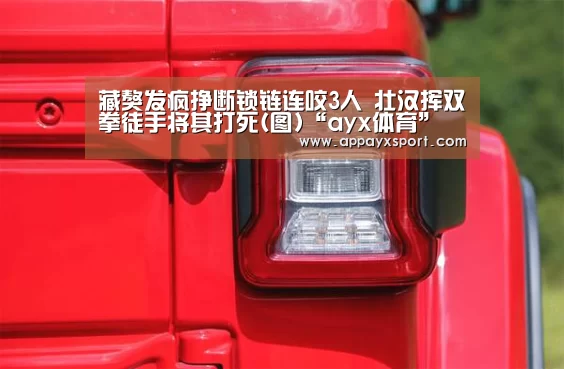 藏獒发疯挣断锁链连咬3人 壮汉挥双拳徒手将其打死(图)“ayx体育”(图4) ayx体育