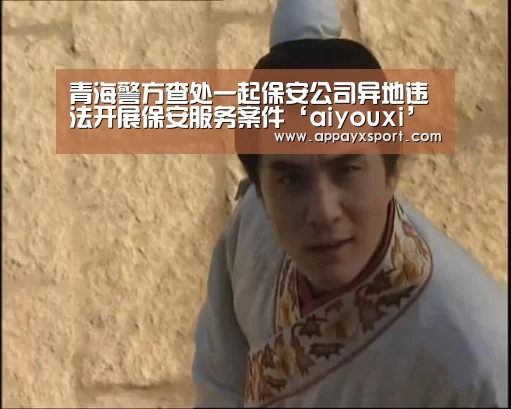 青海警方查处一起保安公司异地违法开展保安服务案件‘aiyouxi’(图2)