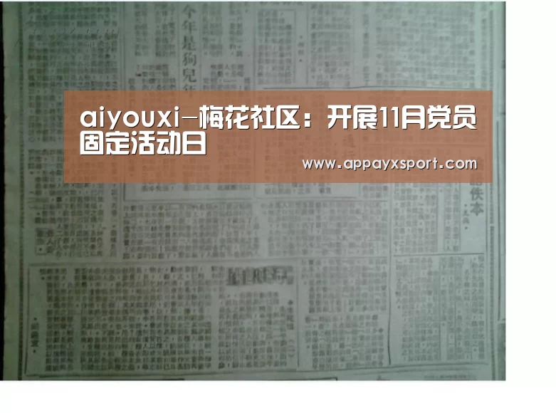 aiyouxi-梅花社区:开展11月党员固定活动日(图3) aiyouxi-梅花社区:开展11月党员固定活动日(图3)