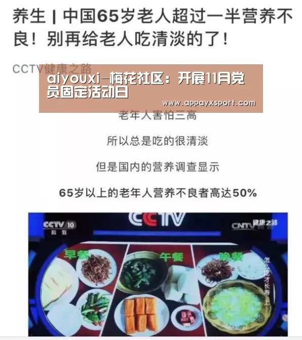 aiyouxi-梅花社区:开展11月党员固定活动日(图2) ayx体育app