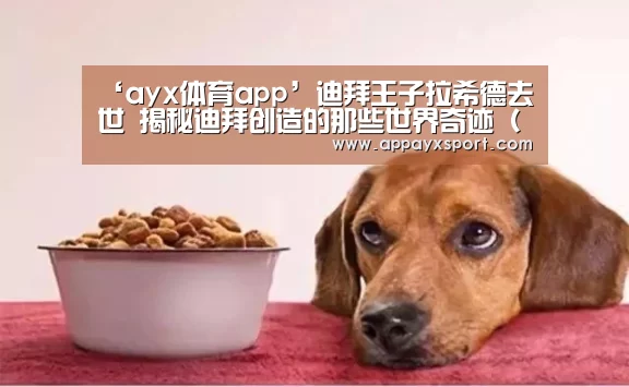 ‘ayx体育app’迪拜王子拉希德去世 揭秘迪拜创造的那些世界奇迹(图)(图1) ayx体育app