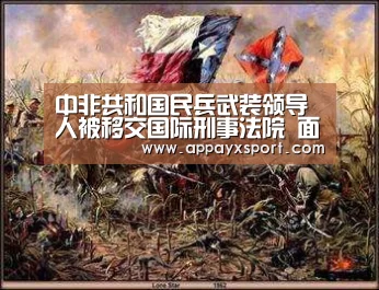 中非共和国民兵武装领导人被移交国际刑事法院 面临危害人类和战争罪指控:ayx体育app(图3) ayx体育