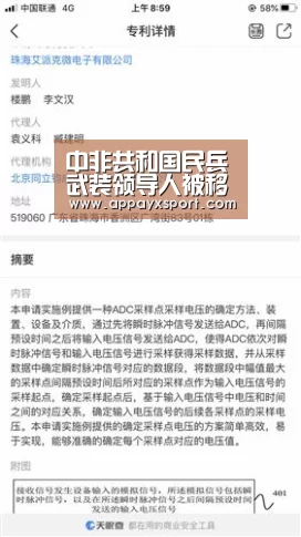 中非共和国民兵武装领导人被移交国际刑事法院 面临危害人类和战争罪指控:ayx体育app(图1) ayx体育app